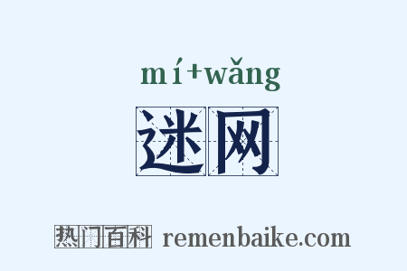 迷网是什么意思的图片